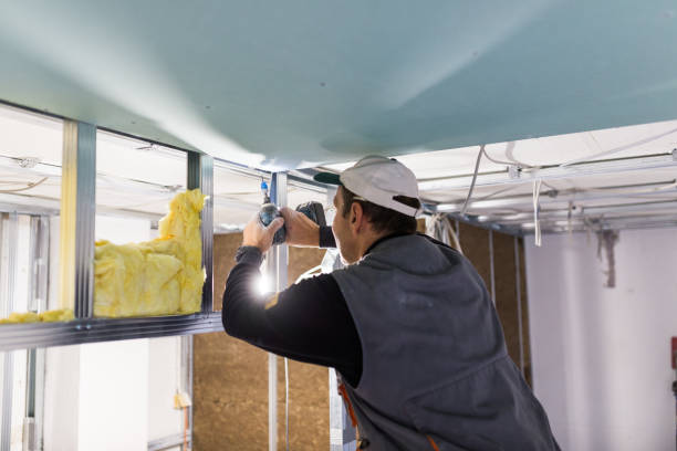 Best Insulation Installation Services in Duluth, WA